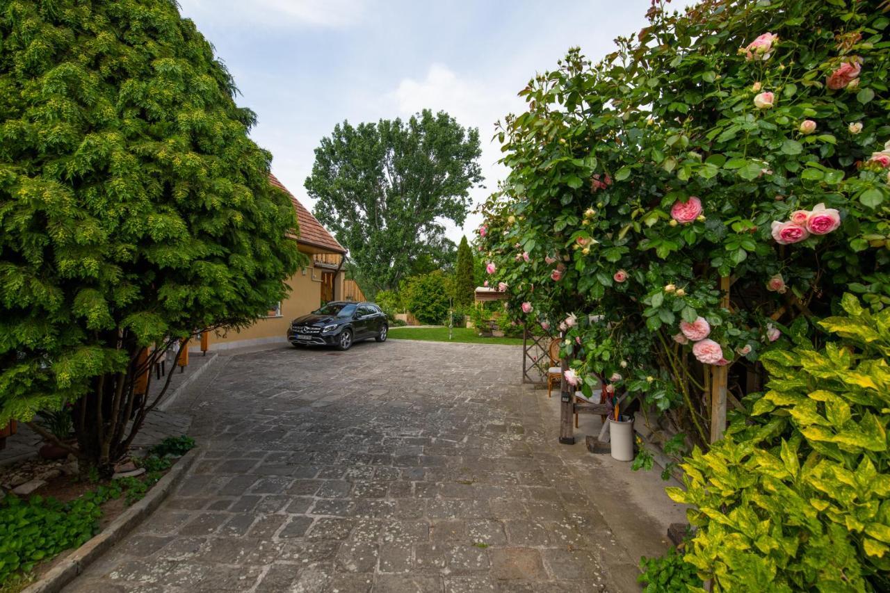 Bonifert Vendeghaz Hotel Dunabogdány Exterior photo